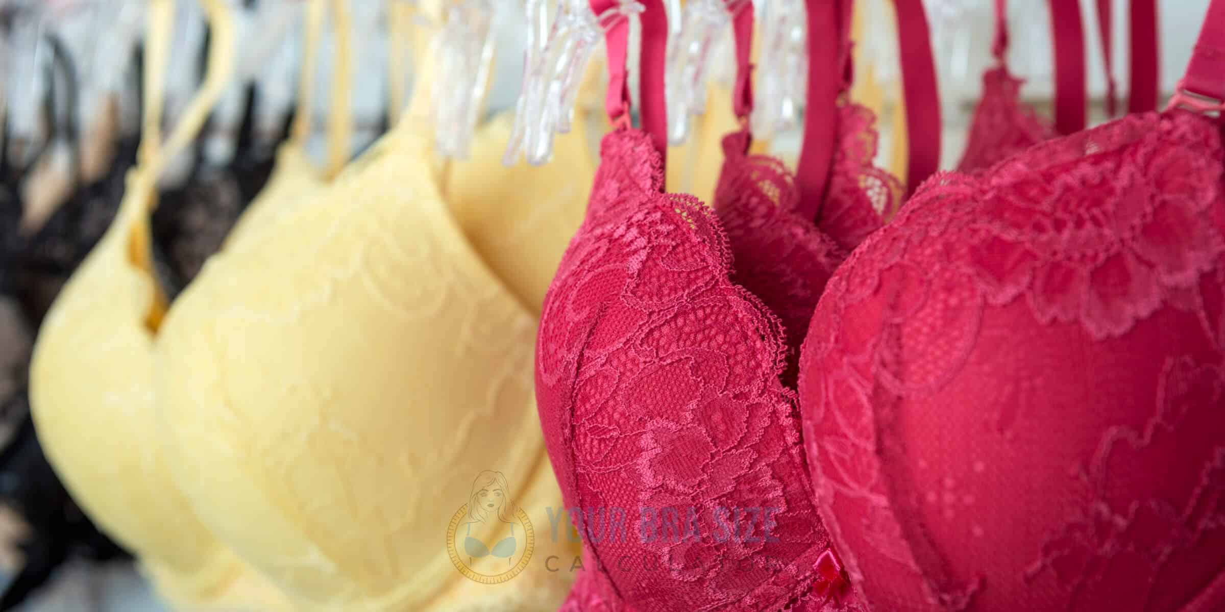 The Best Bra Styles for Different Types of Outfits