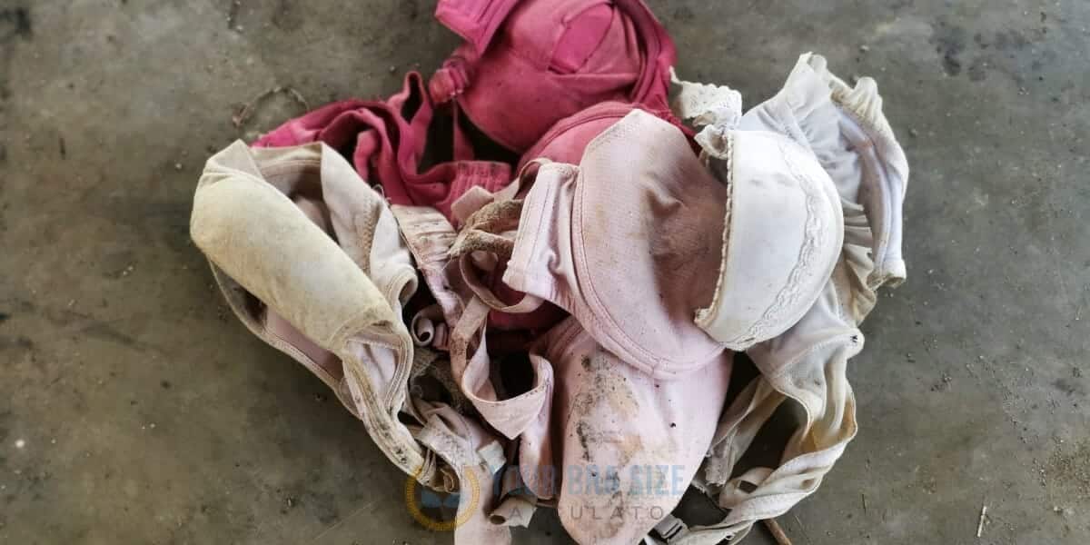 How To Properly Dispose of Old Bras and Reduce Waste